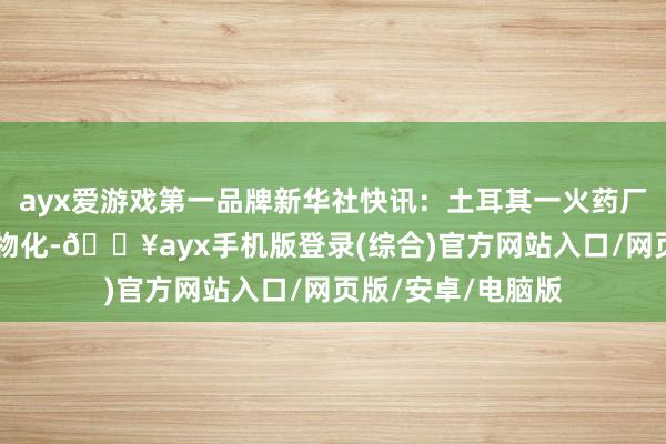 ayx爱游戏第一品牌新华社快讯：土耳其一火药厂爆炸致12东谈主物化-🔥ayx手机版登录(综合)官方网站入口/网页版/安卓/电脑版